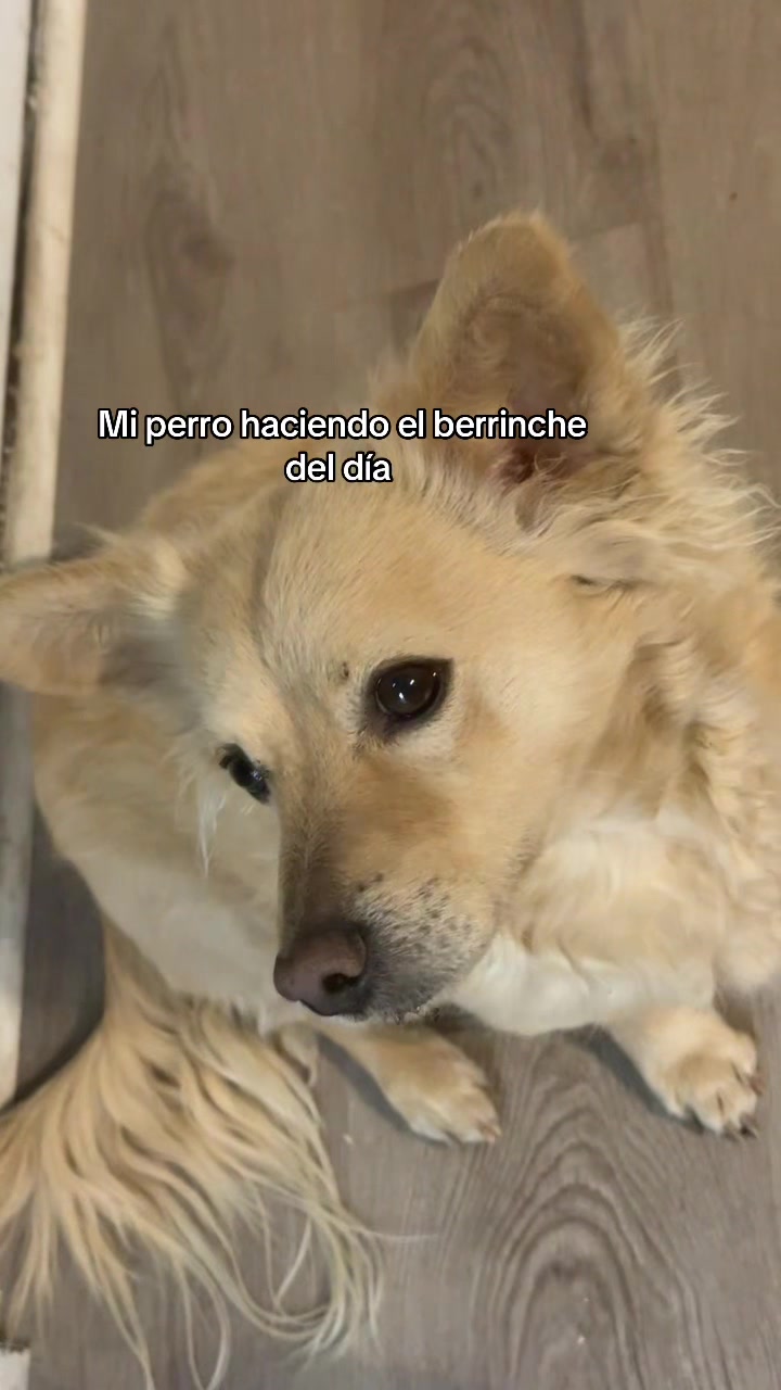 @Adylene F&eacute;lix-Vega