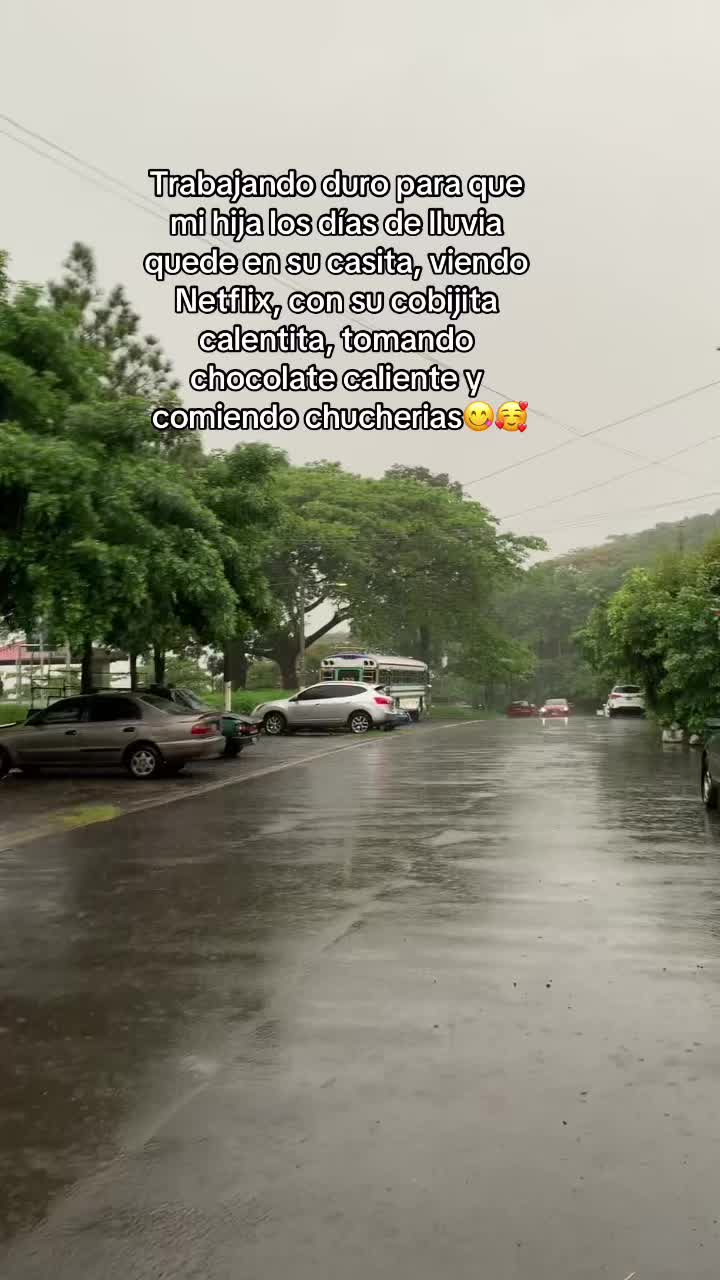 @🌸Ale🌸
