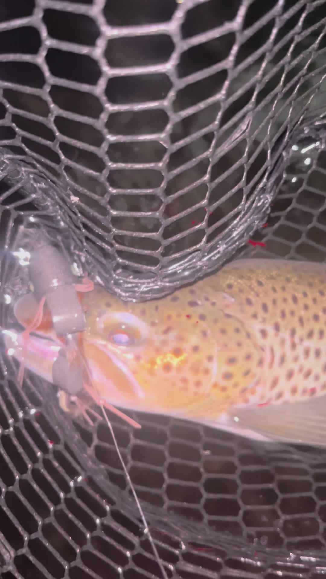 @lucky.hat.fly.fishing