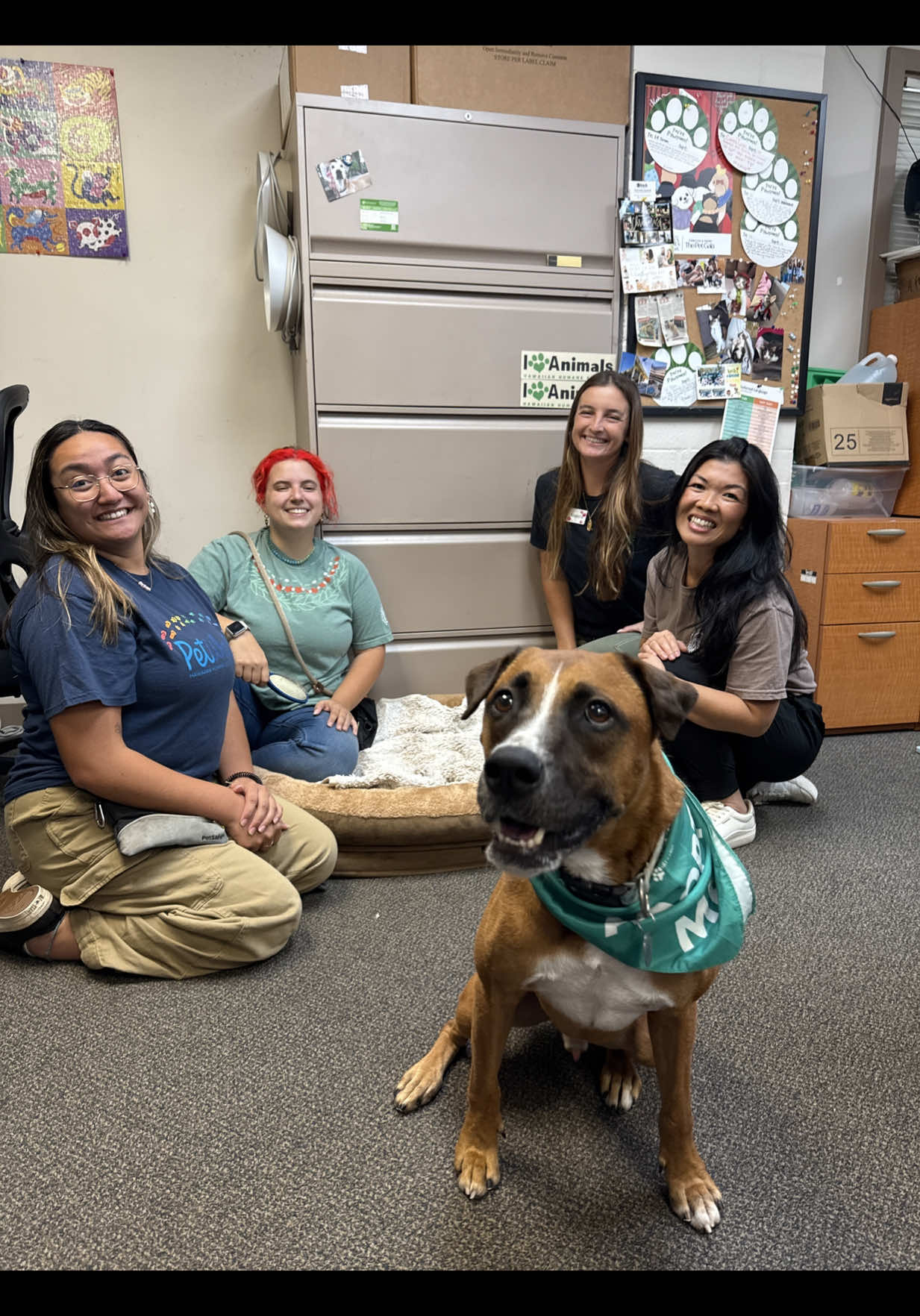 @Hawaiian Humane Society