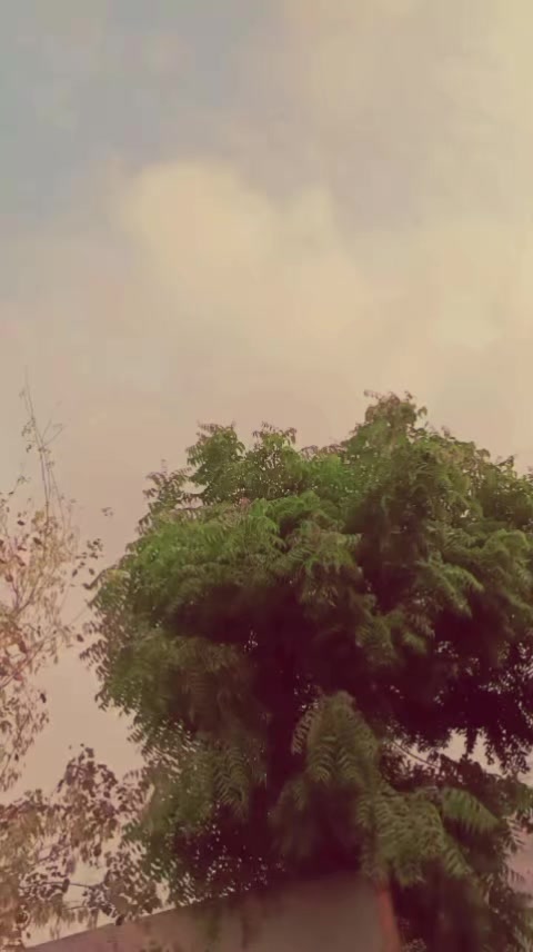 @FOJI SAHAB