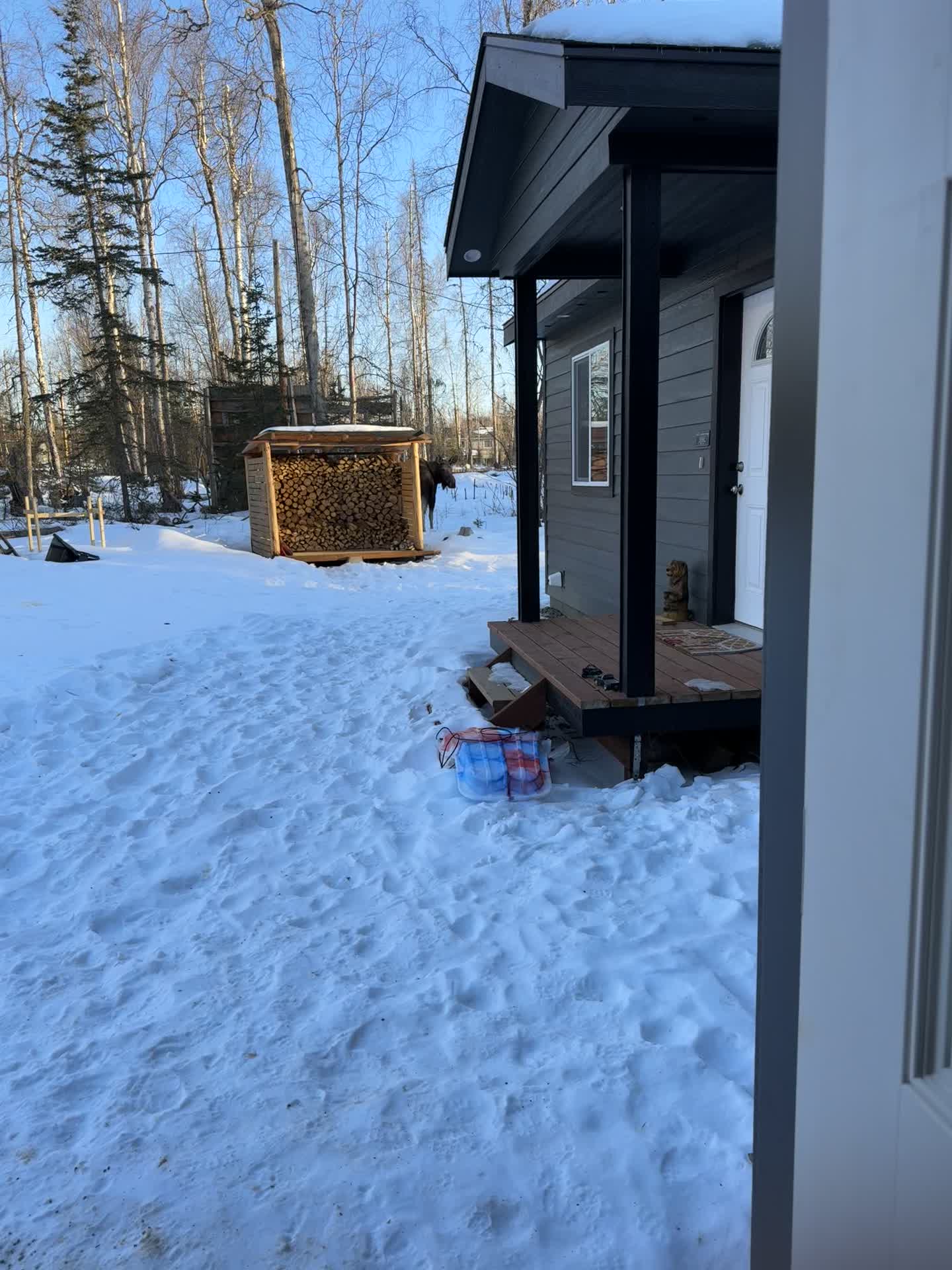 @WildNorthAndi🌲❄️🏔️