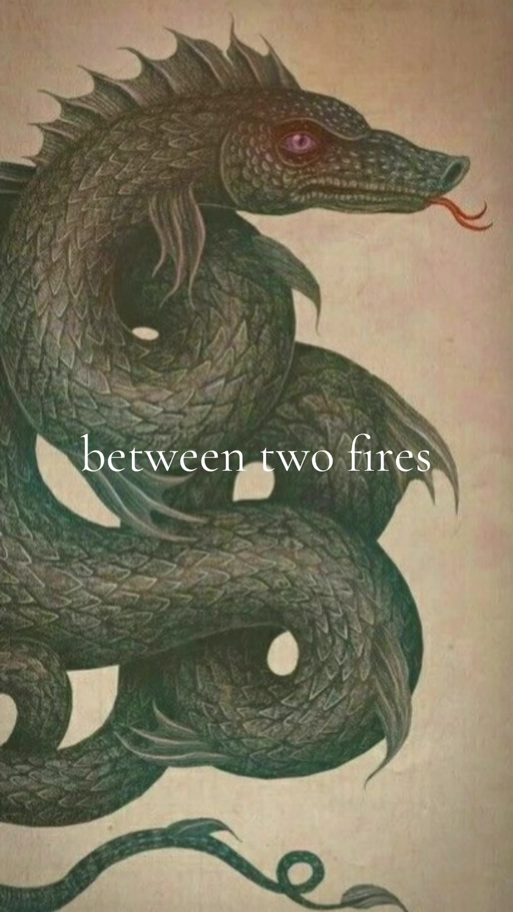 @A ✨