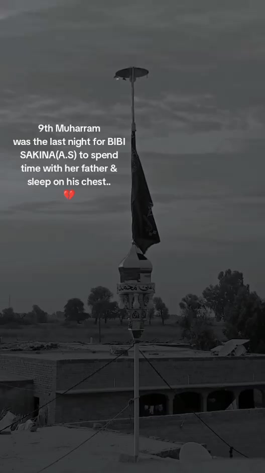 @عزادار حسین ع🫀
