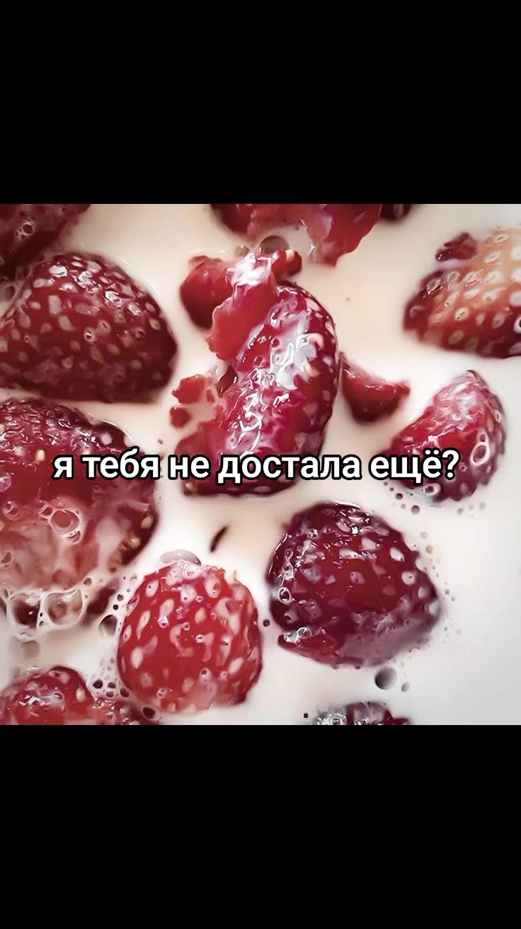 @ᥲⲏ𐔏ᥱ᥈ьᥴⲕᥲя🪽