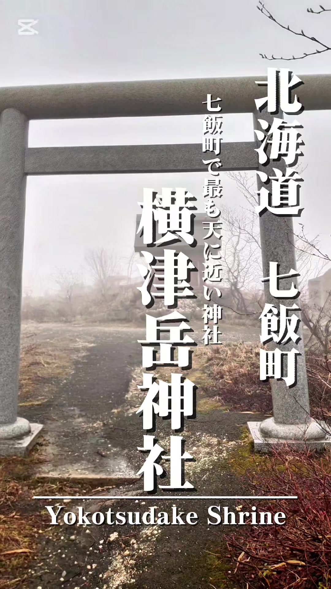 @⛩️MIKADO⛩️