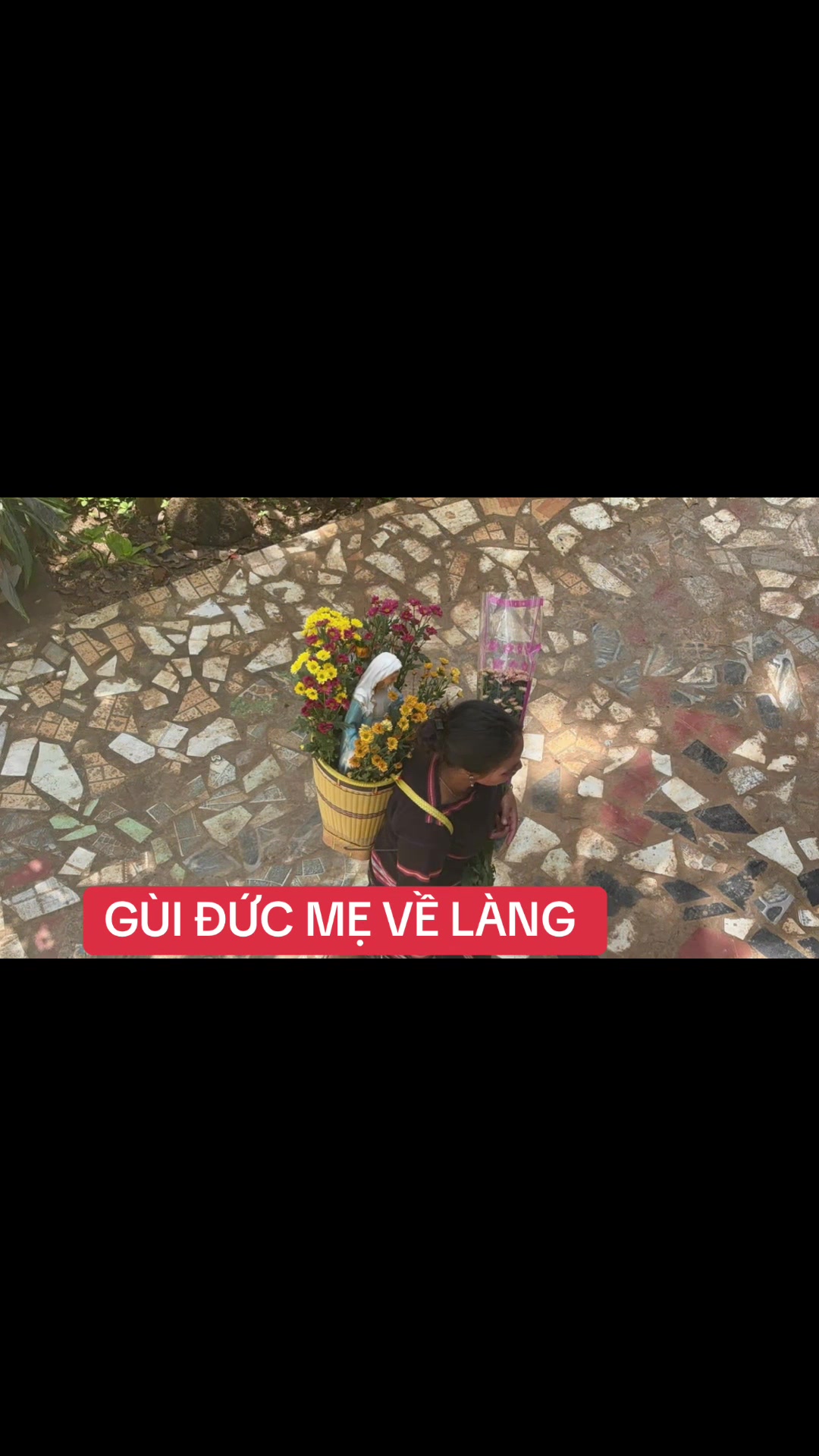 @Minh Du