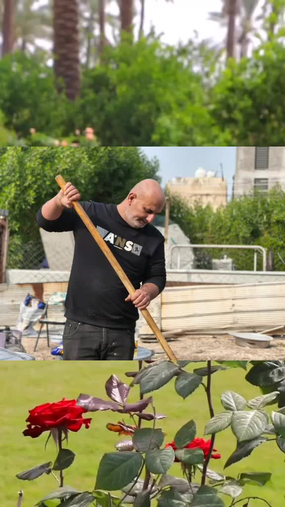 @ابو رضا الطباخ