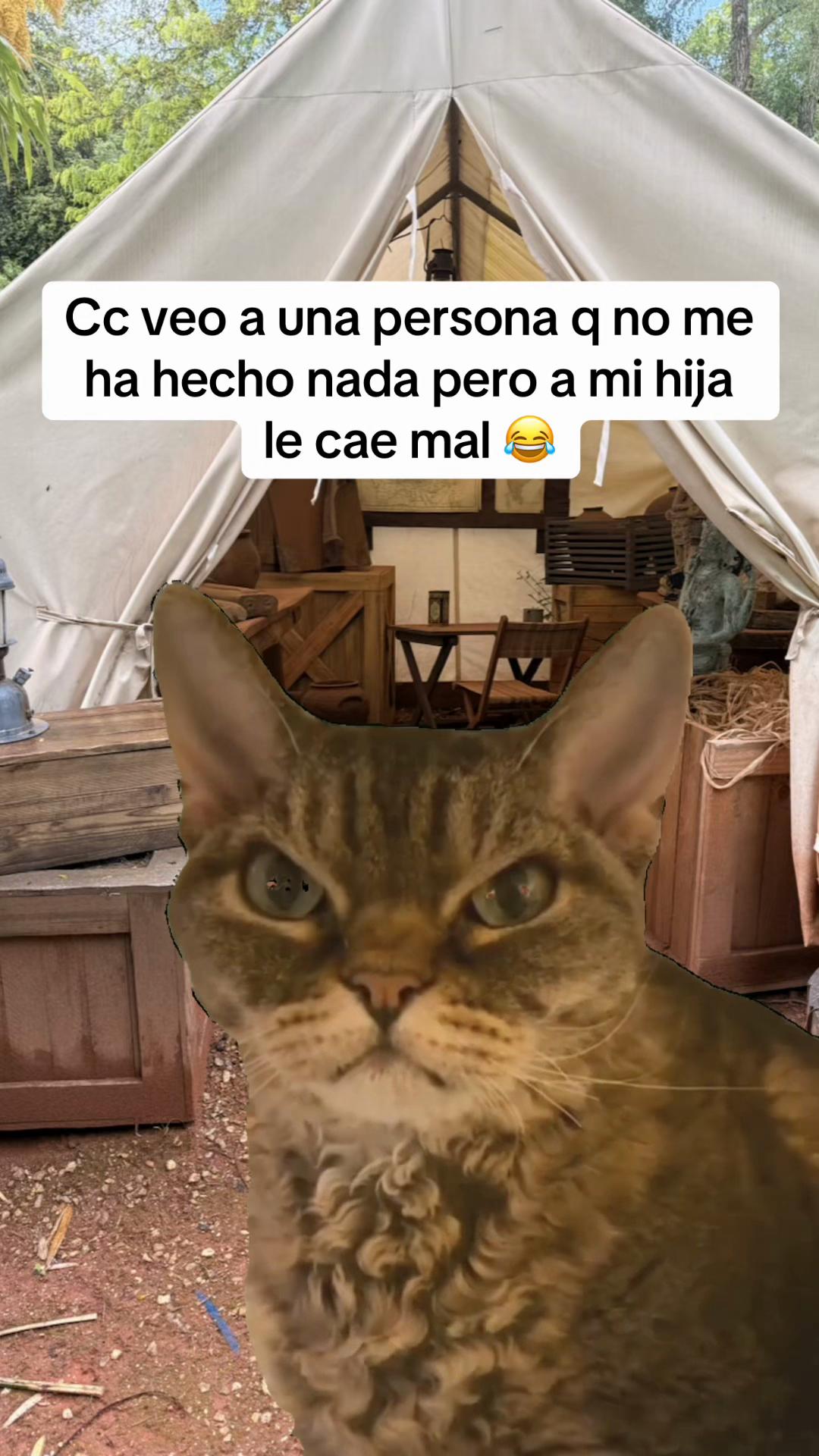 @LETTY