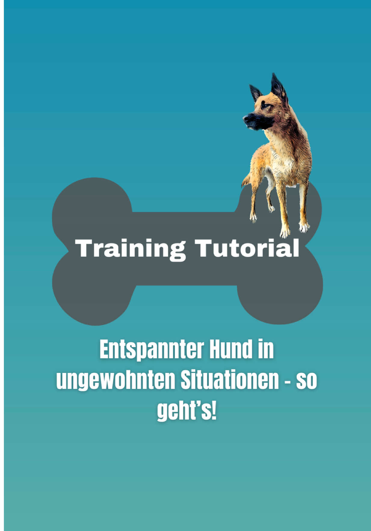 @INSAbenteuerHund