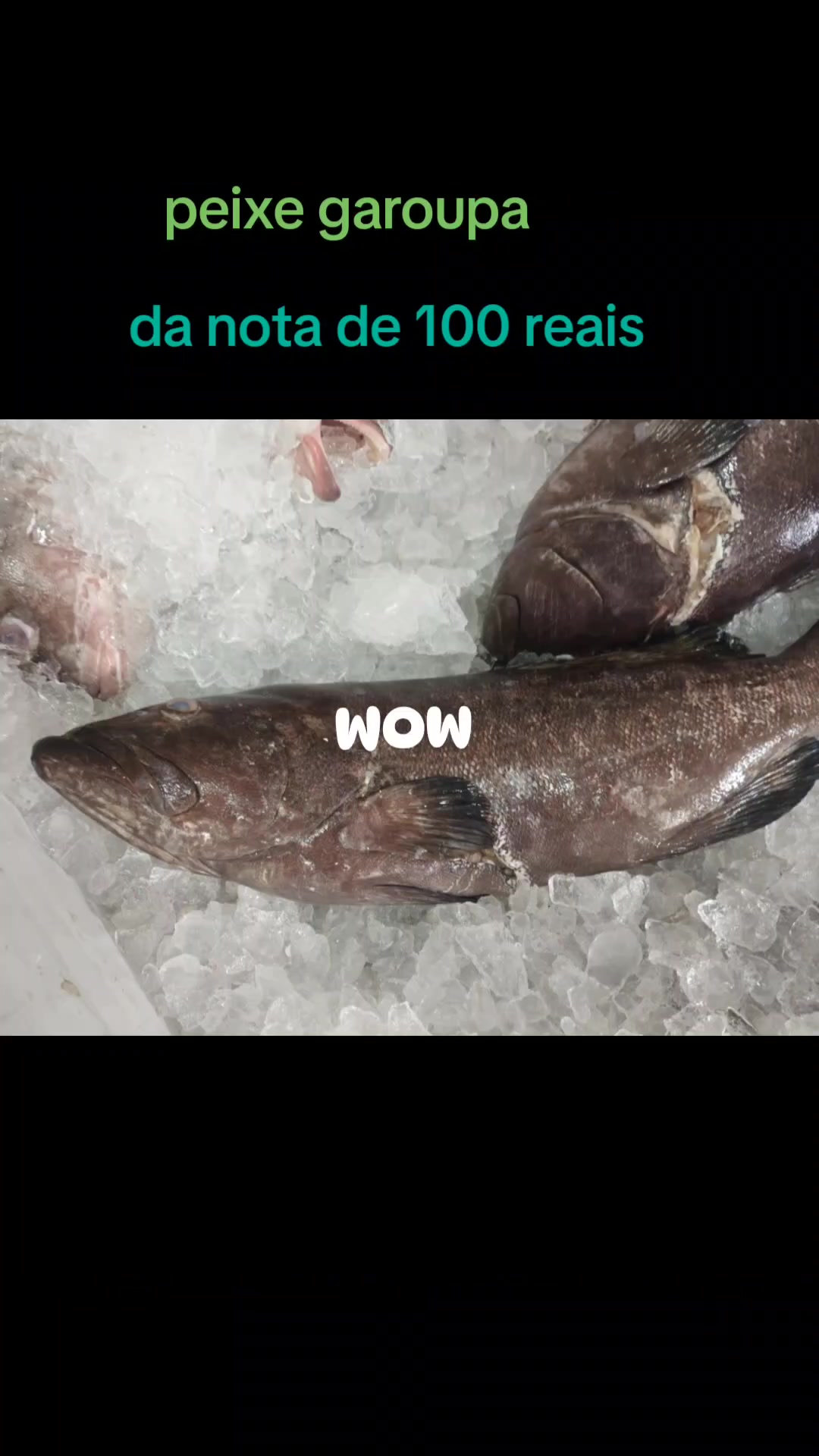 @Diegoalves2313