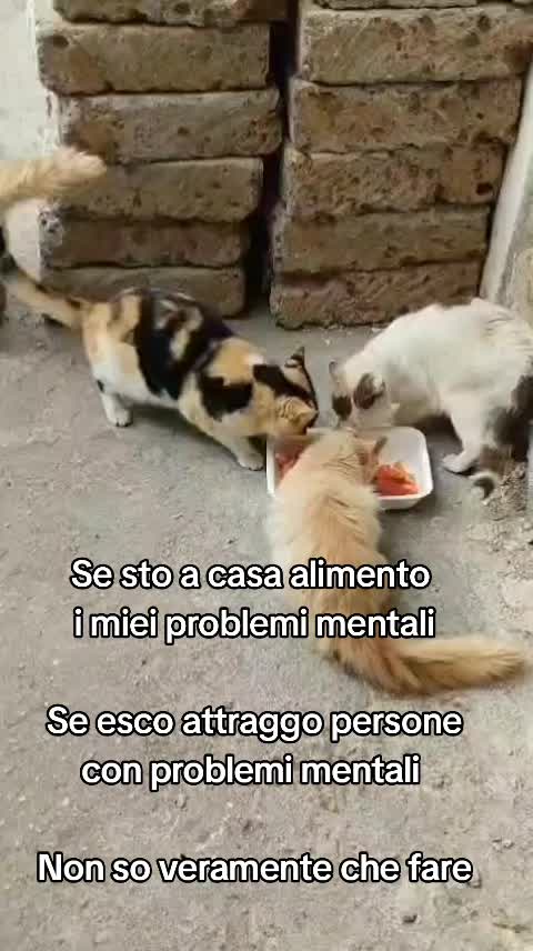 @ELETTRA L'ANIMALISTA