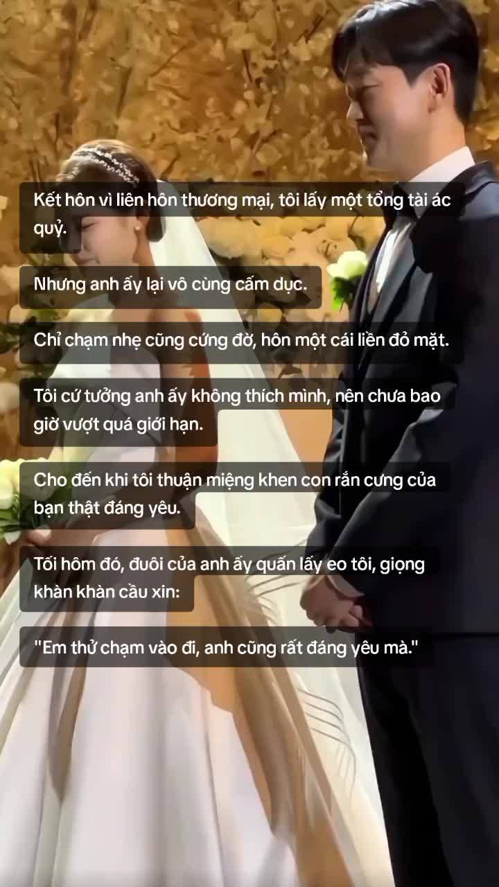 @Con người của tiểu thuyết