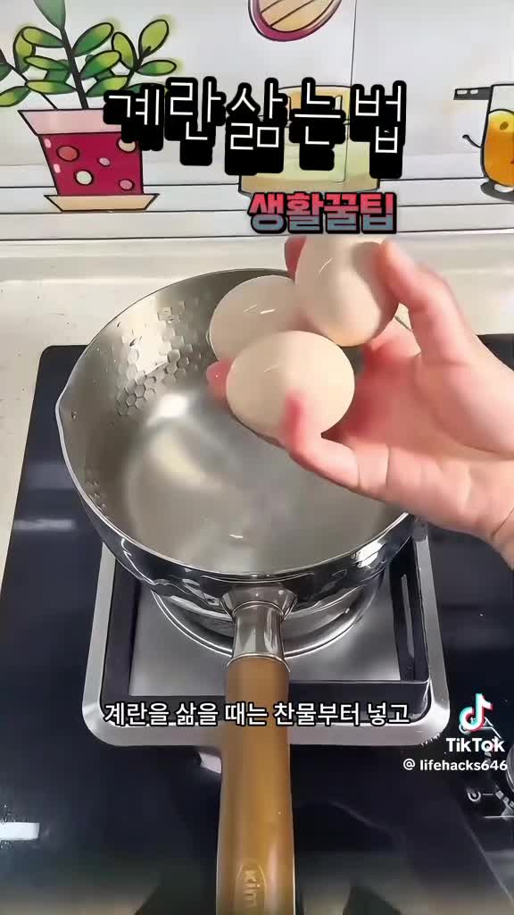 @금은희
