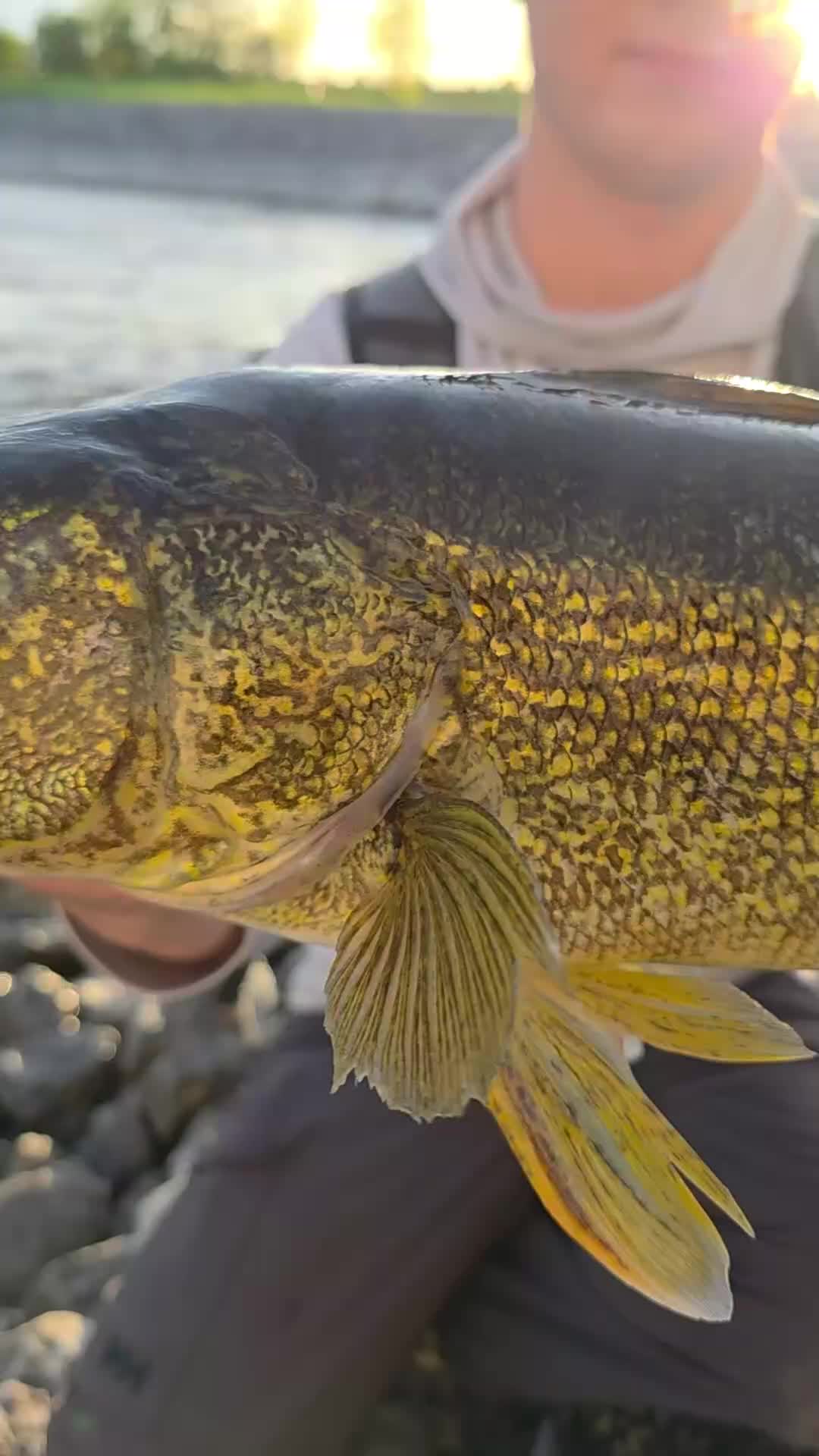 @FishingParadise