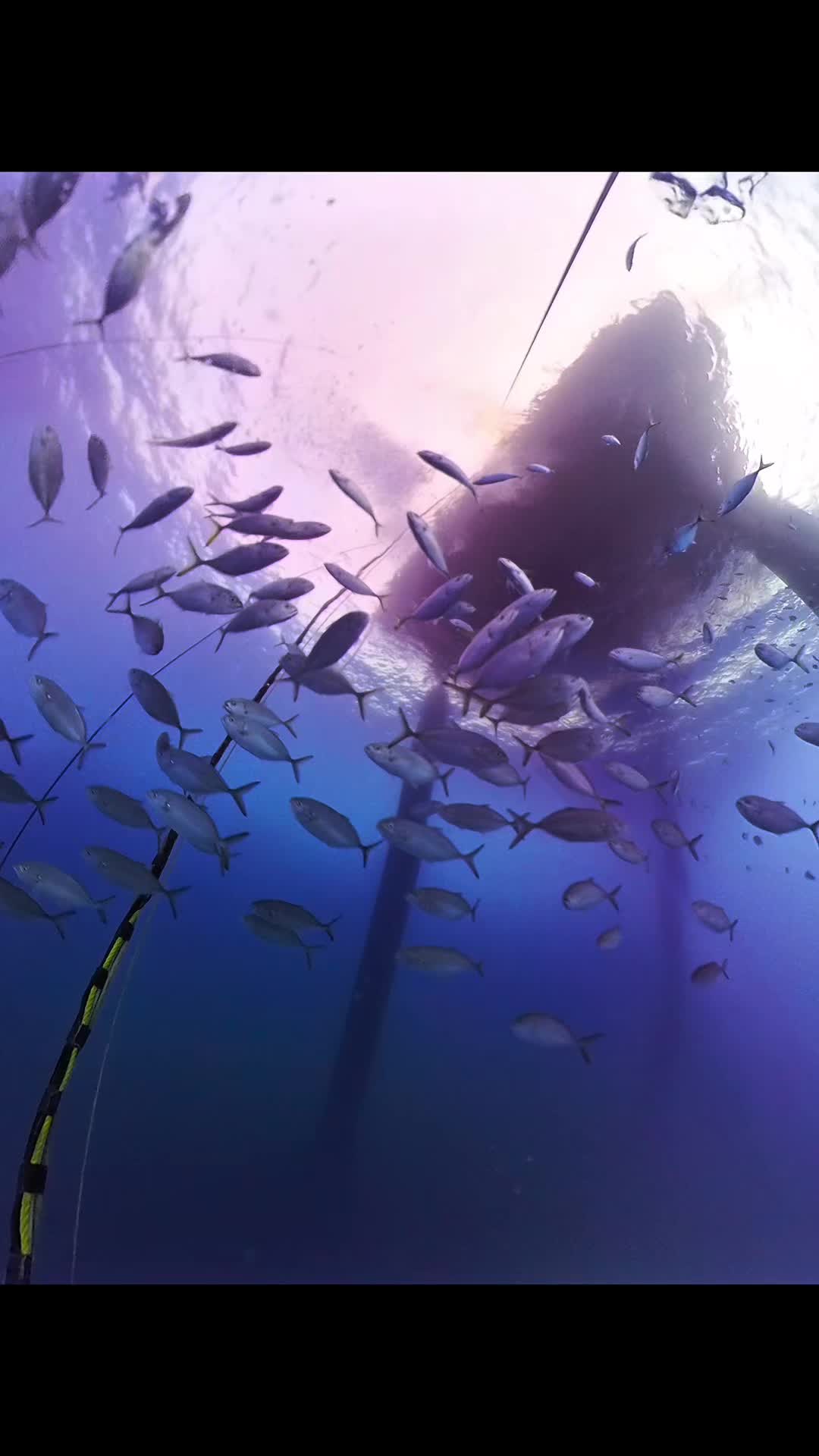 @DeepSeaAf