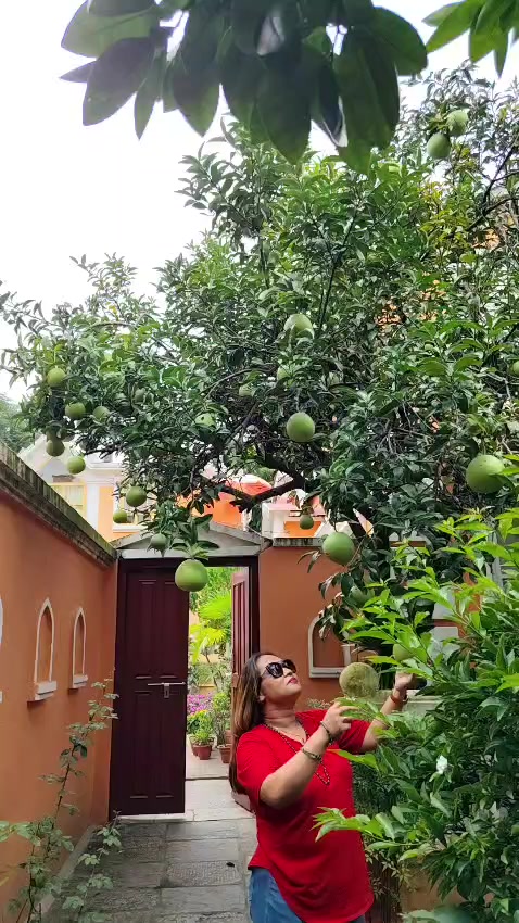 @jonilama61