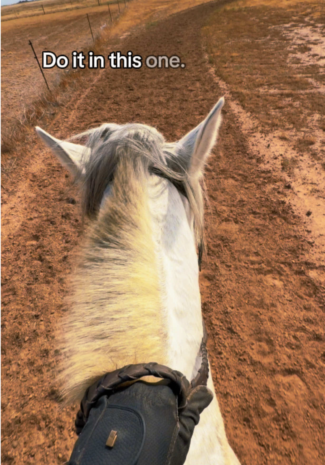 @Grace Equestrian TX