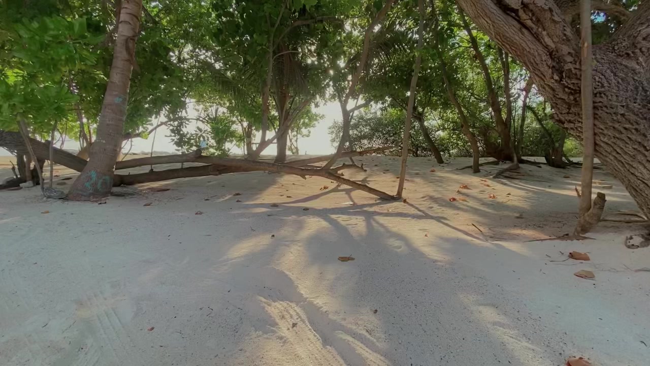 @Anu
