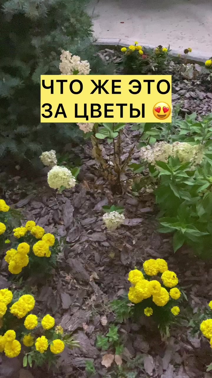@Уральск Интересно