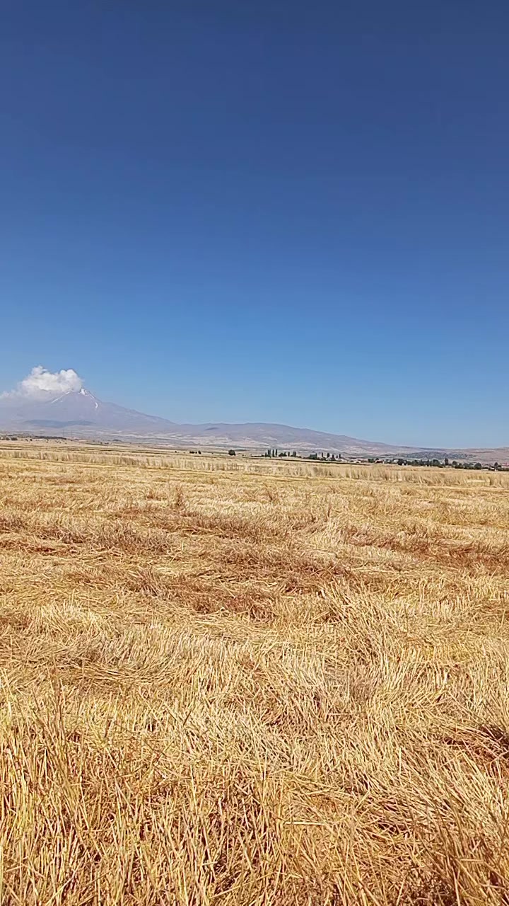 @yusufhayta388