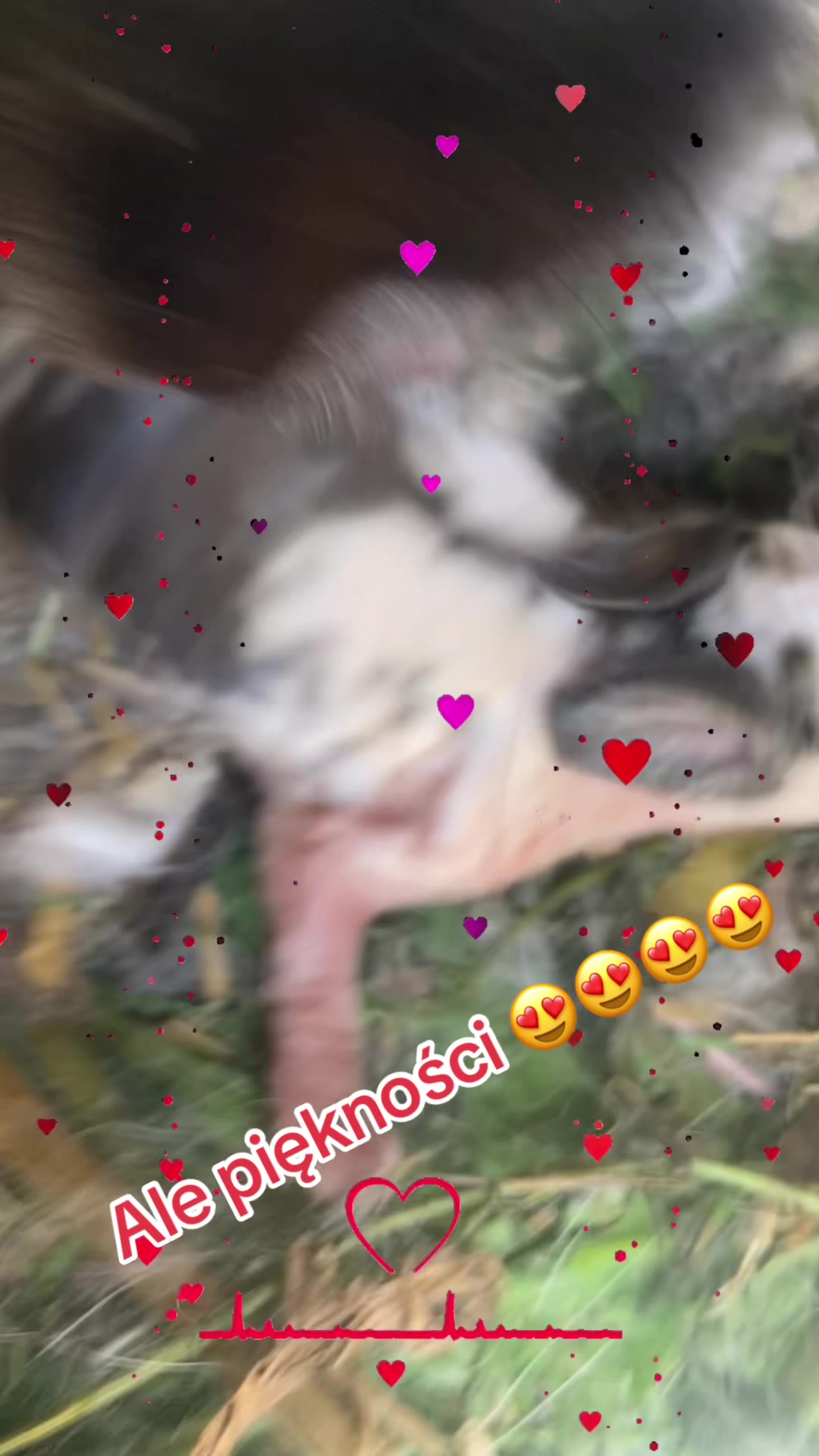 @Szczęśliwa &hearts;️mama81&hearts;️
