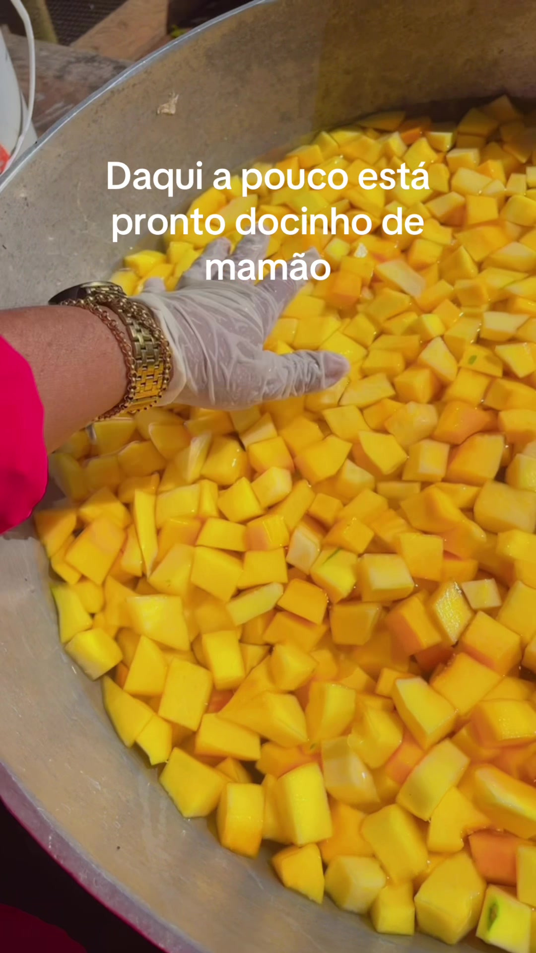 @edna camargo
