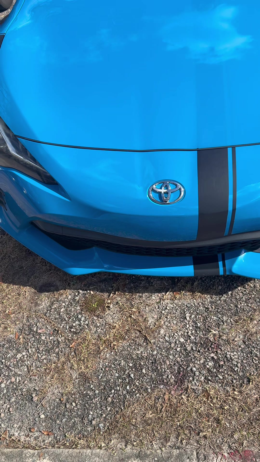@Top&ensp;Dog&ensp;Detailing