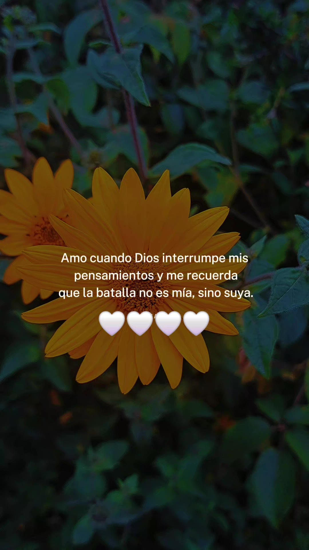 @MarI 🌺
