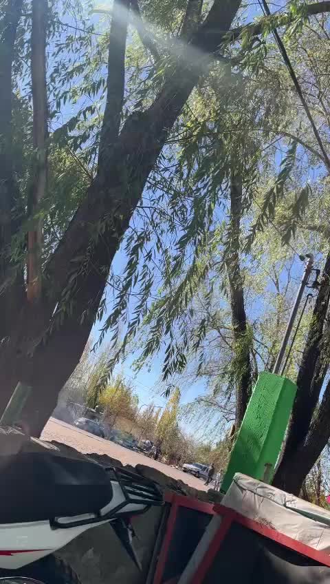 @mauriciom73