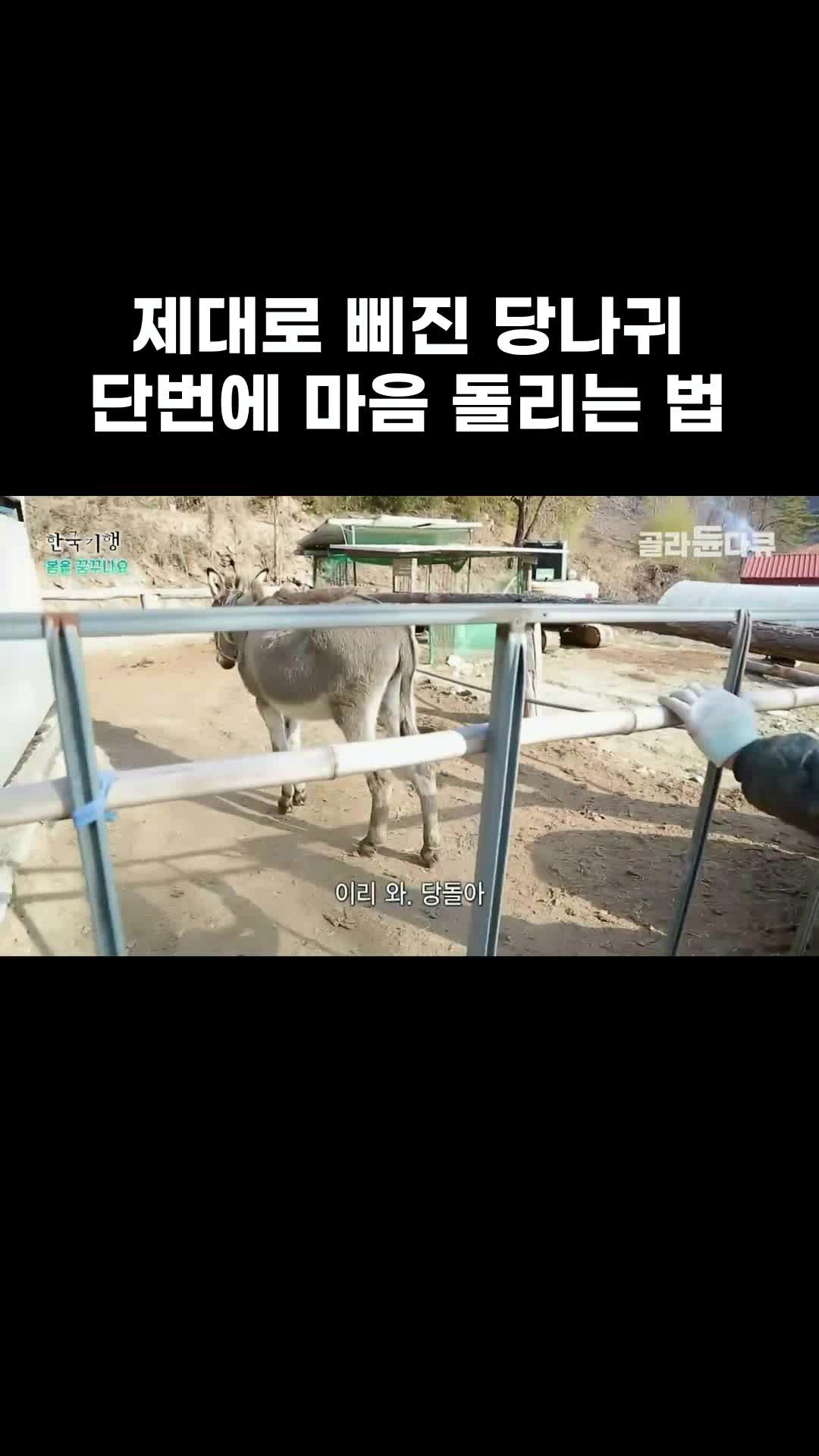 @EBS 다큐