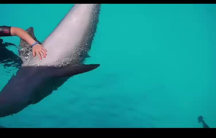 @LeonePippoPio69