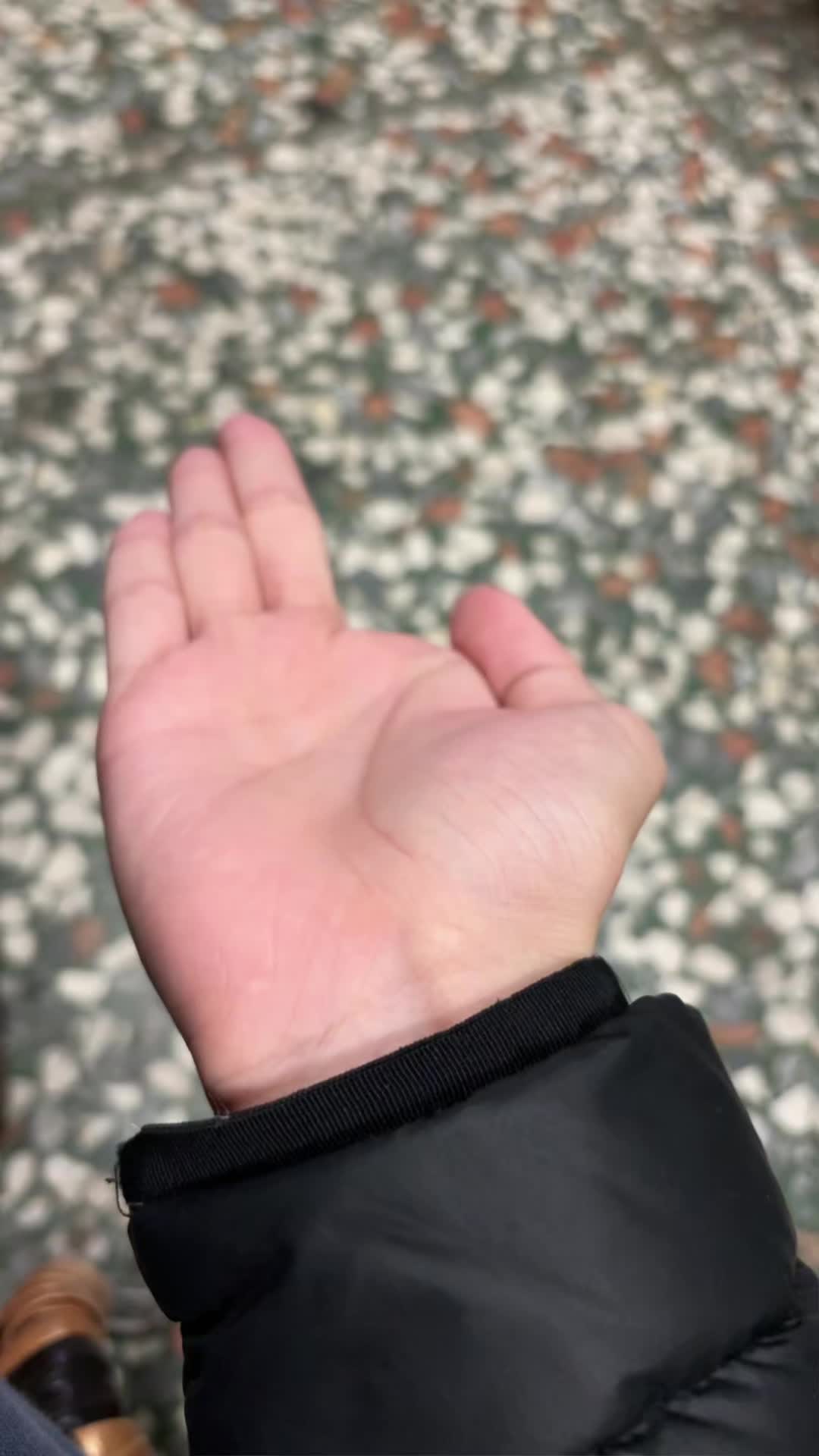 @小惡魔/壞蛋（戰隊團長）