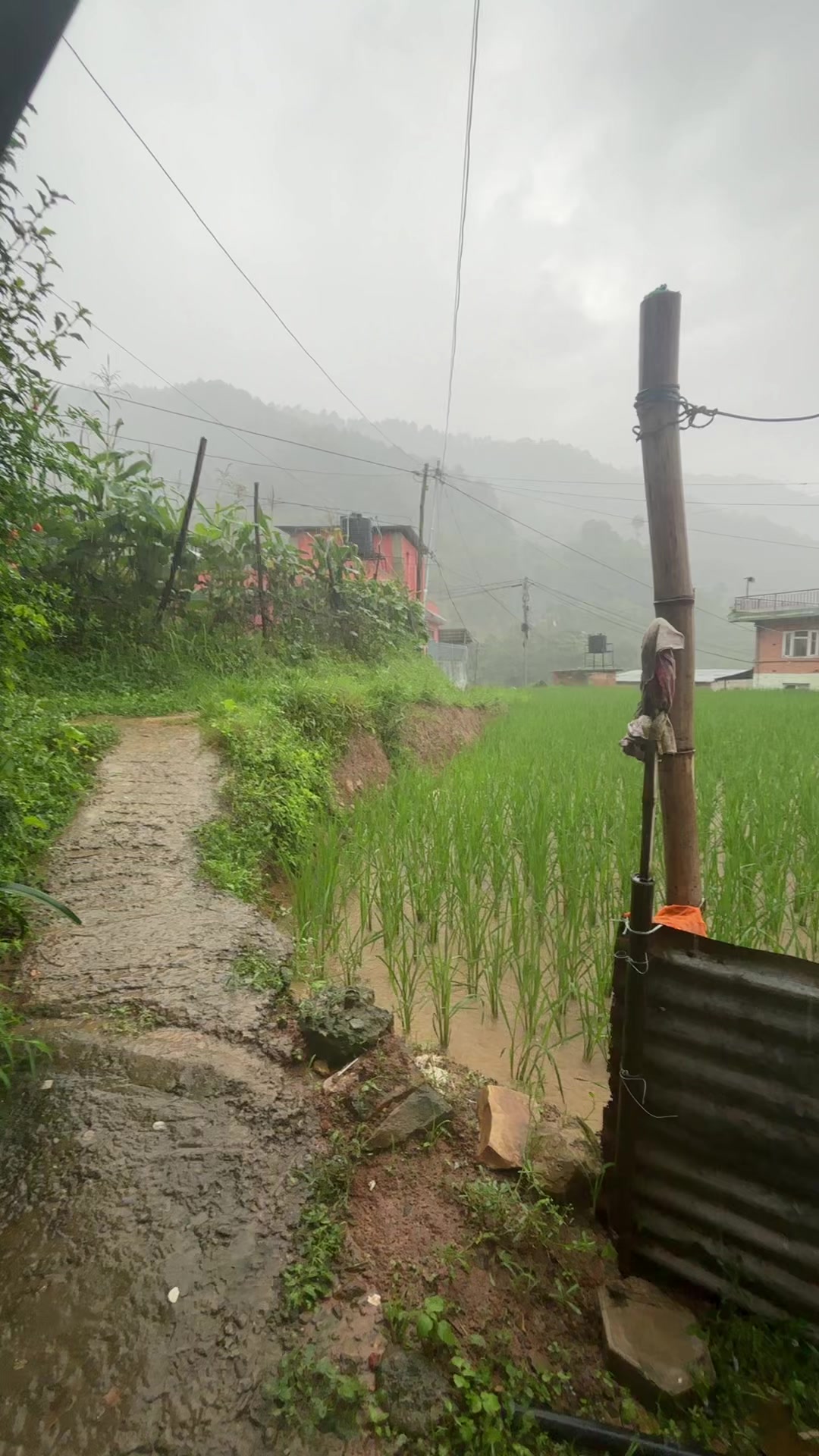 @Sita Thapa Yogi