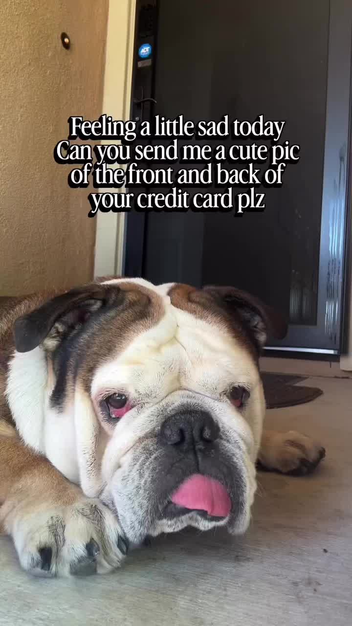 @Taco 🐶🧿