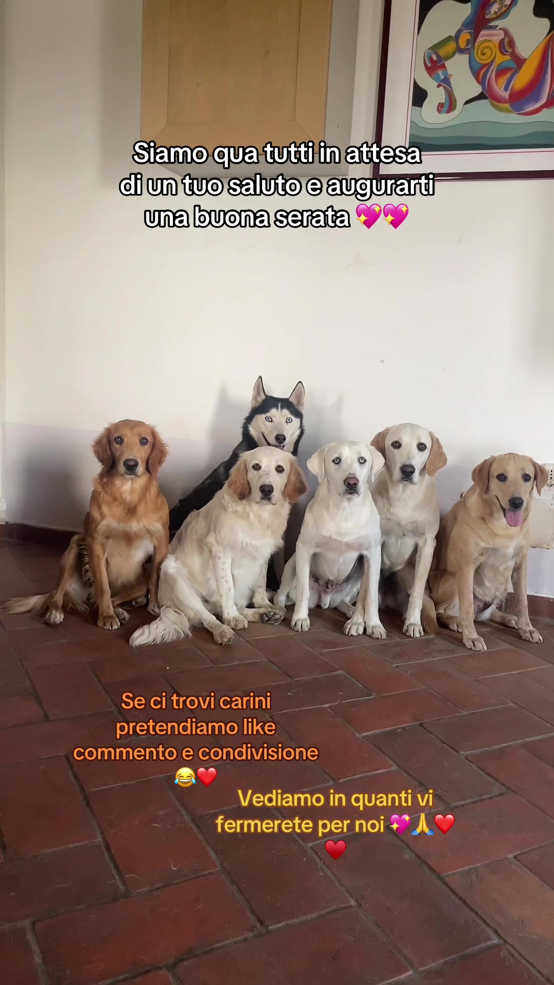 @KIRA❤️LEYLA💙