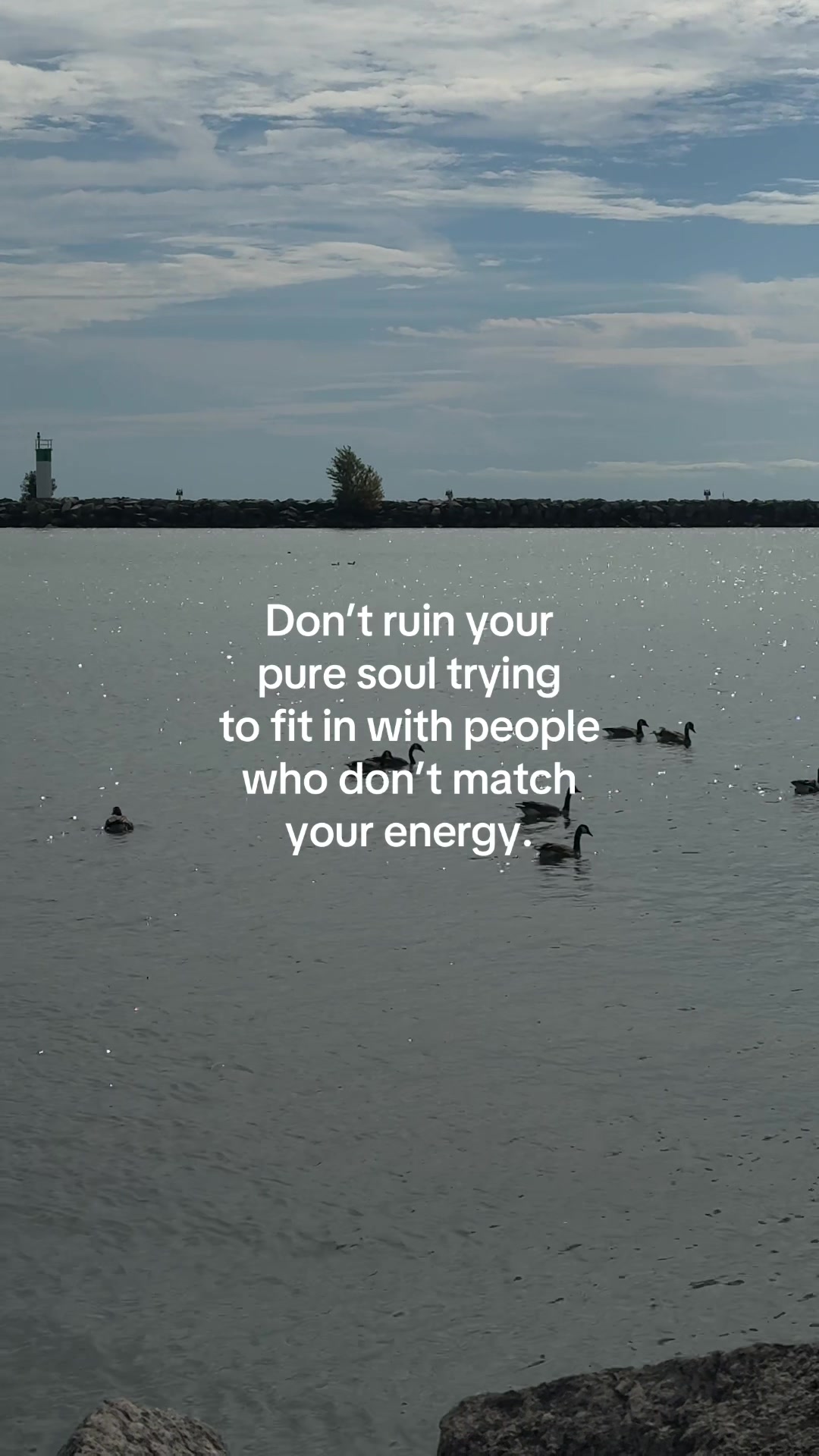 @ℒ ᥫ᭡