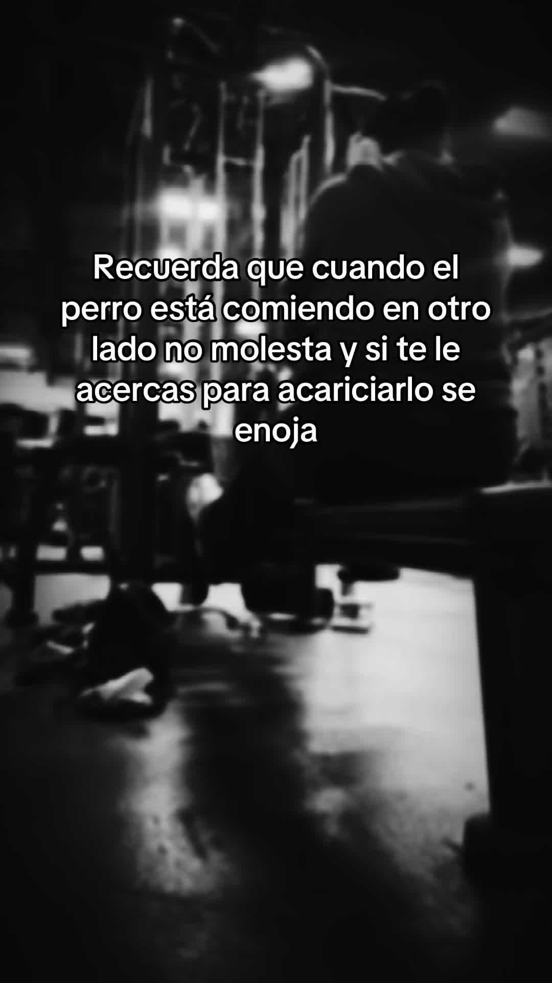 @Paola Hurtado