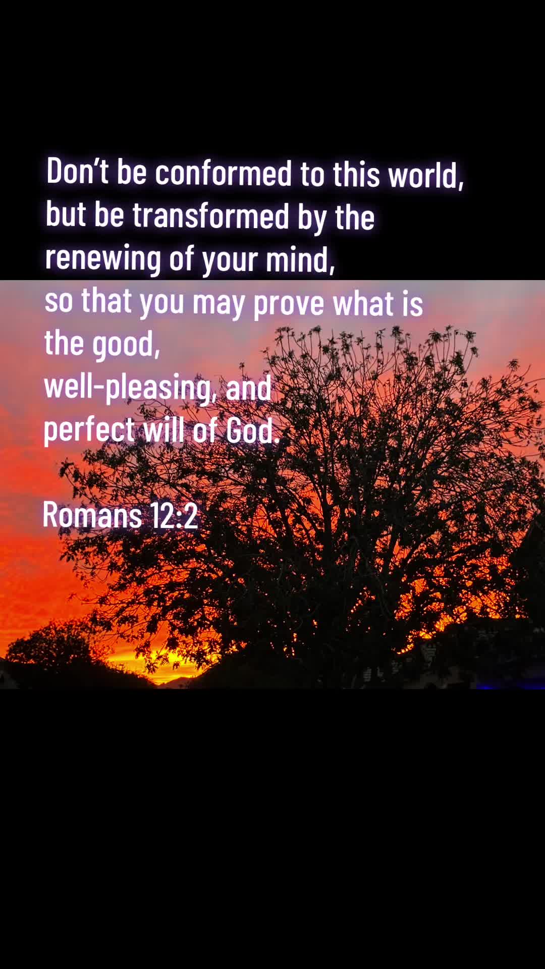 @forgiven_disciple