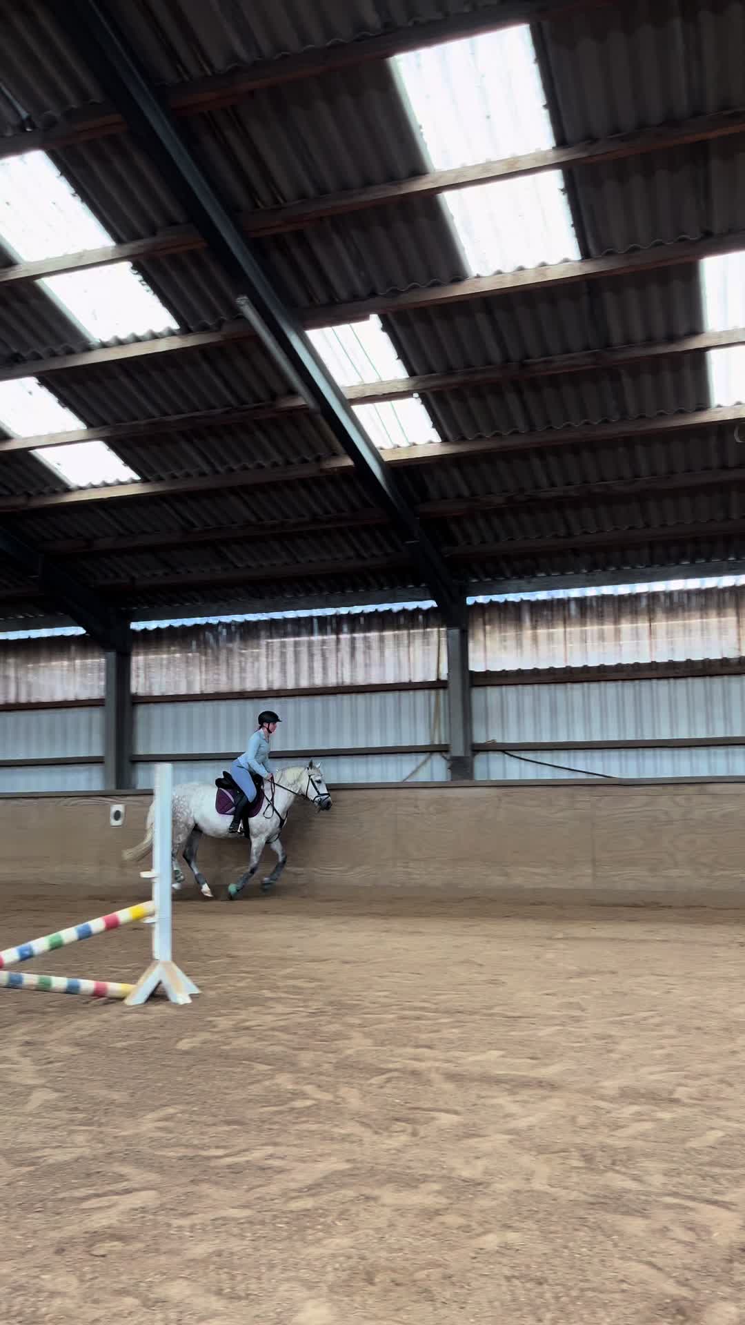 @sunny_the_pony20