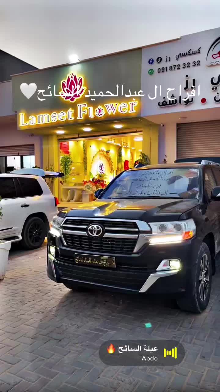 @sayh alwany