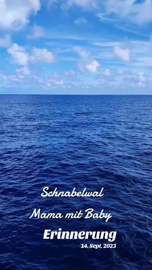 @Ossitussi1.0