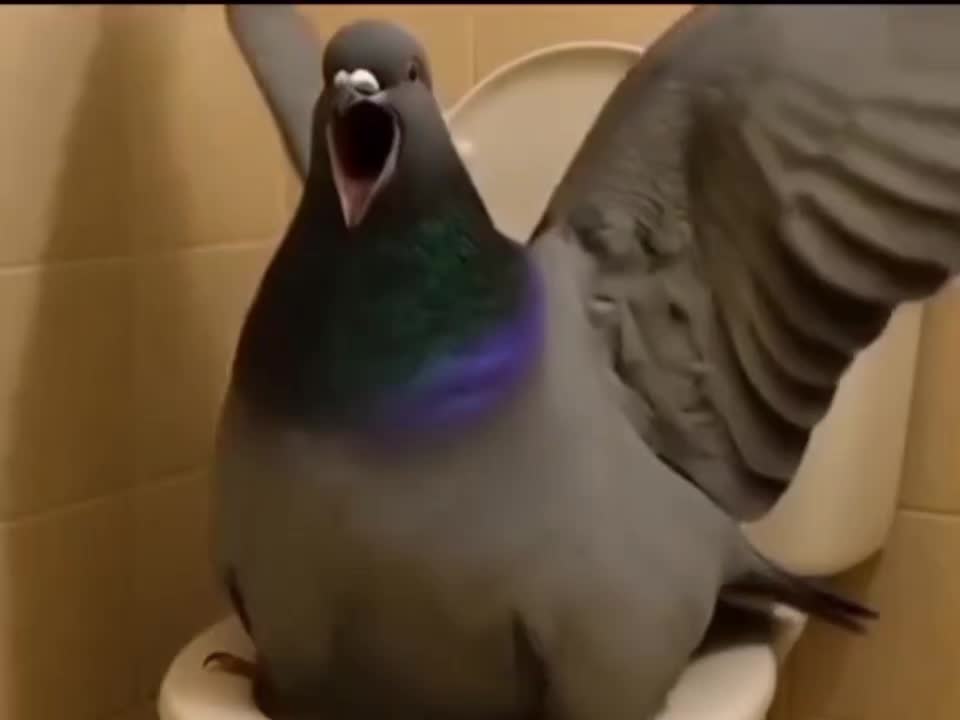 @-=✎𝔜𝔞𝔰𝔦𝔫☪=-
