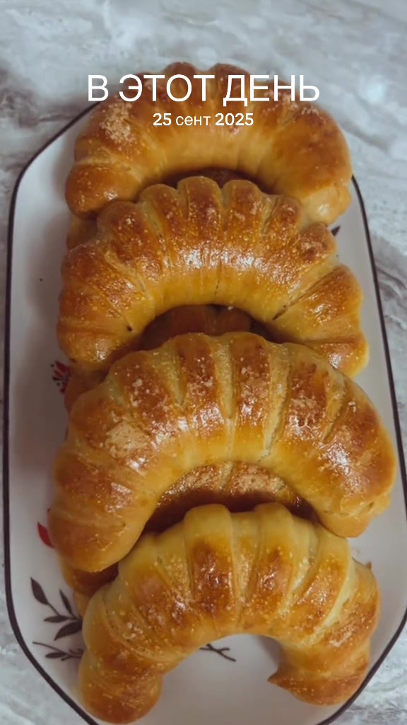 @torty_ot_jibeka