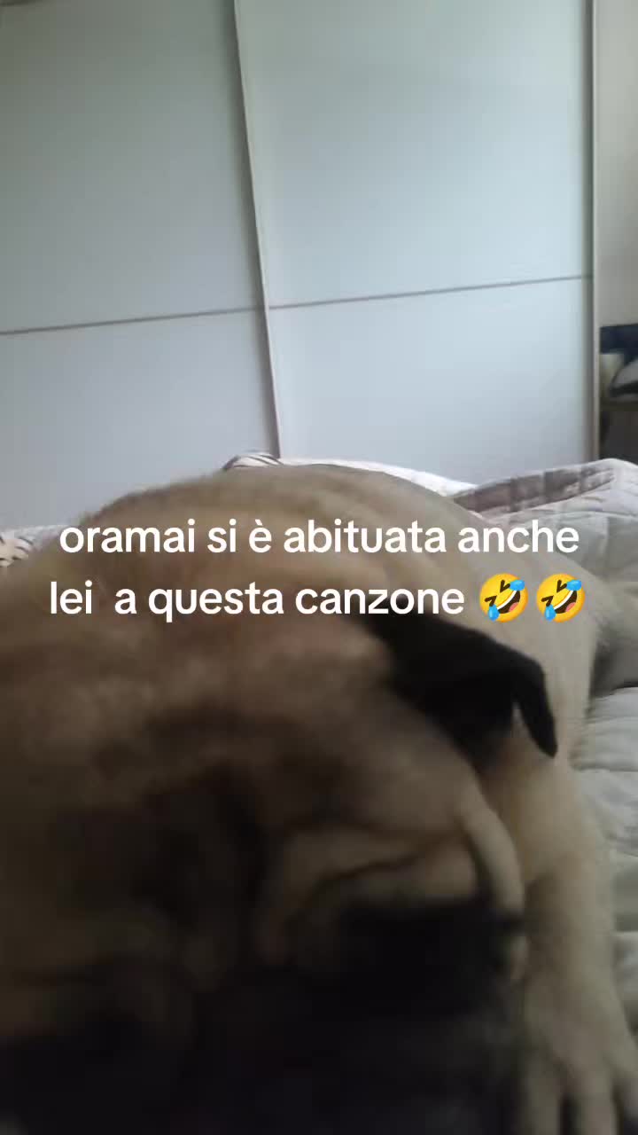 @Raffa