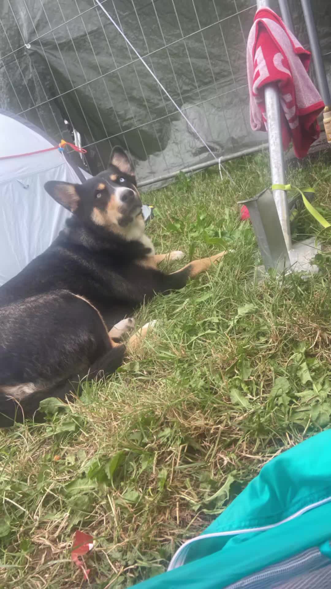 @Kämpferin mit ❤️