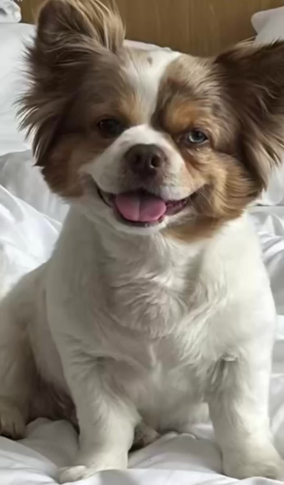 @Nicole69✨🐶