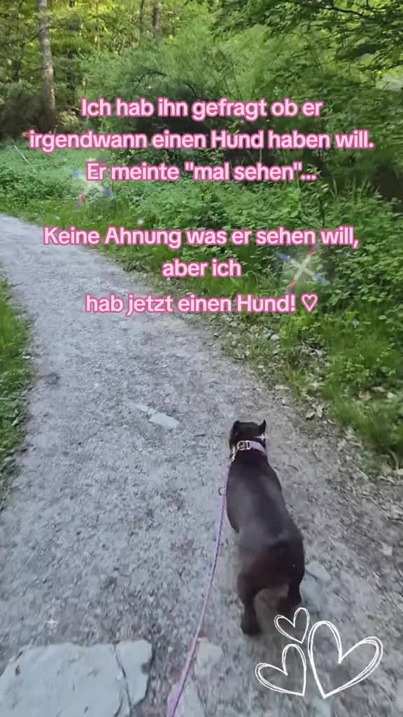 @FrenchieFrieda