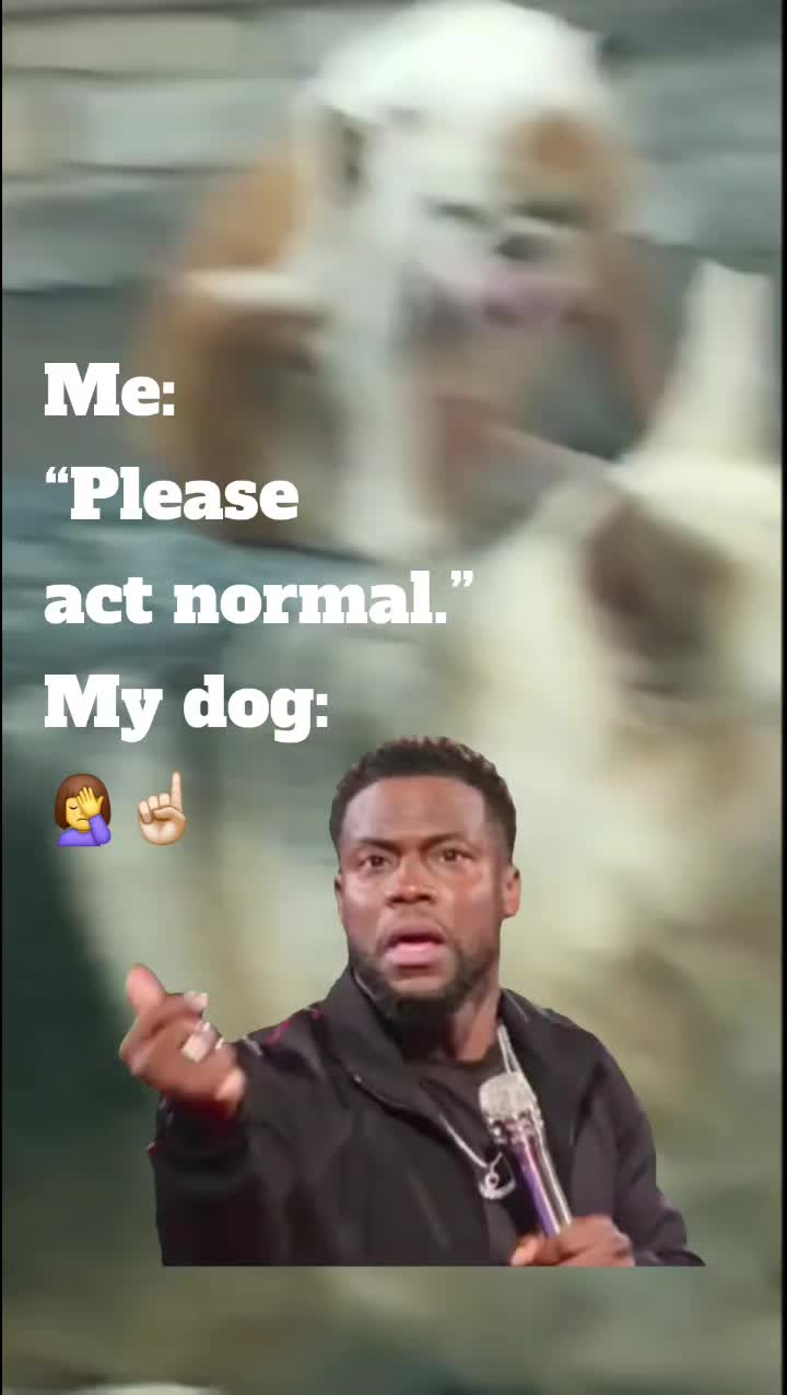 @Nana Outnumbered