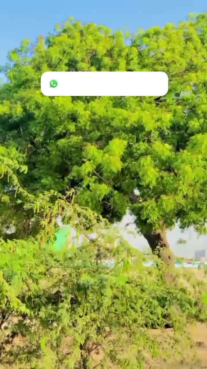 @꧁༒☬F&alpha;&iota;Za&eta;☬༒꧂
